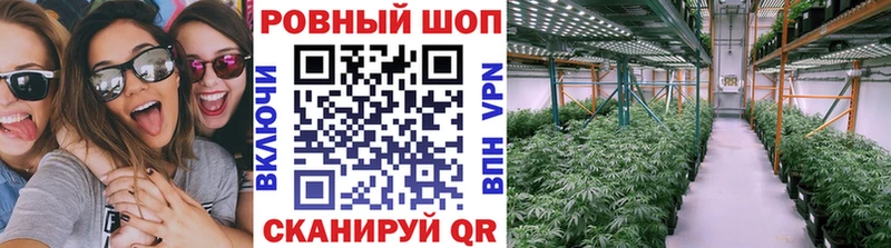 Что такое Кировск Галлюциногенные грибы  Бошки Шишки  Меф мяу мяу  MDMA  ГАШ  СК  АМФЕТАМИН 