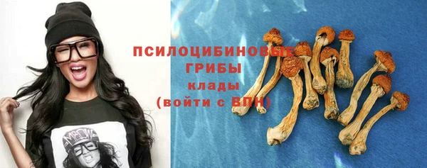 дурь Аркадак