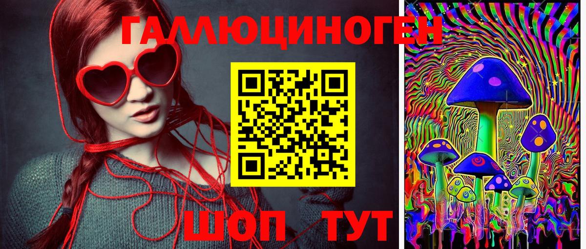 Псилоцибиновые грибы Psilocybe Кировск