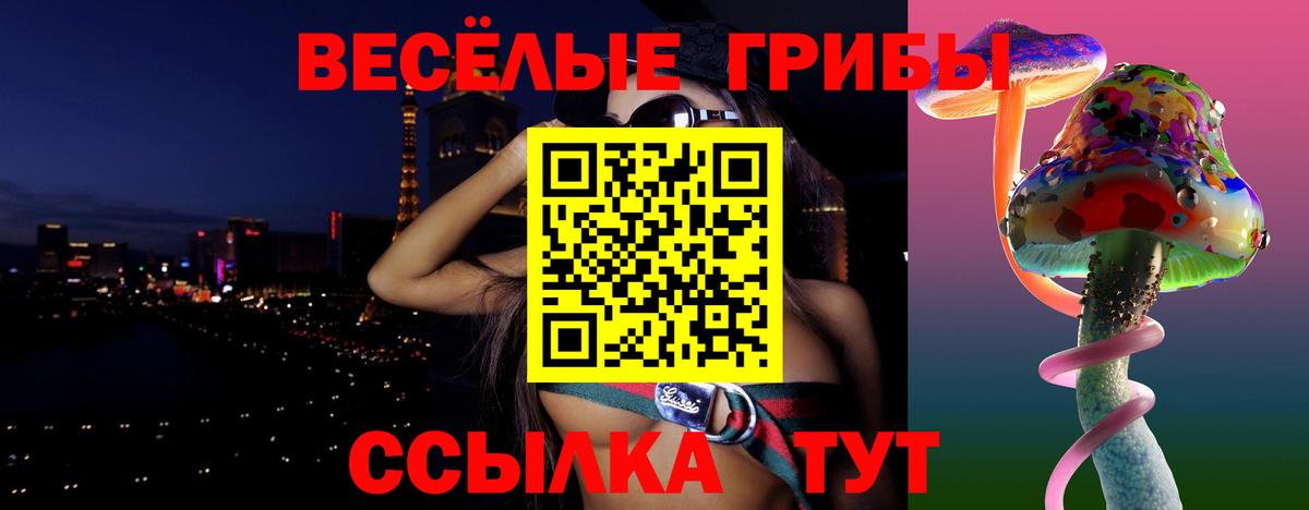 Кировск  Галлюциногенные грибы ЛСД  Вход с VPN 