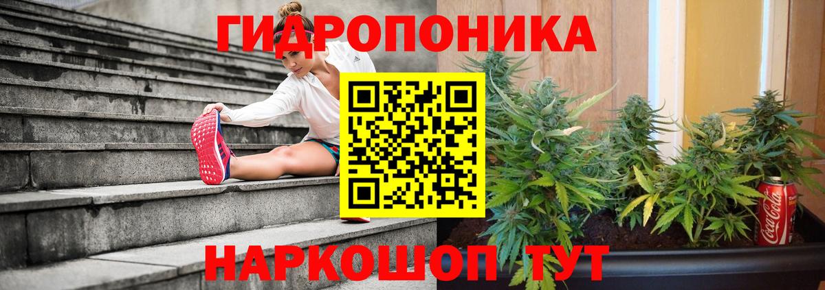 Конопля Bruce Banner Кировск